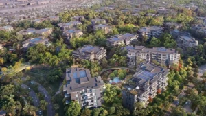 Ghaf Woods Dubai: A lush forest oasis in Dubailand