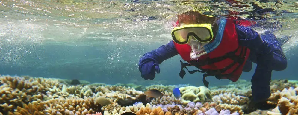 snorkelling