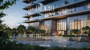 ALBERO 5