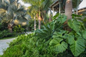 Bloom Living Carmona 9