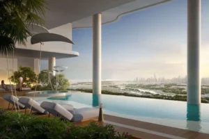 ALTA VIEW 7