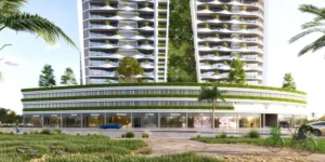 Colibri Views 5